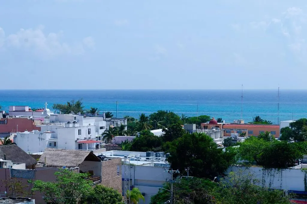 Apartment Comfortable Condo W/ City Views Rooftop Pool & Gym - 319 Musa Playa del Carmen